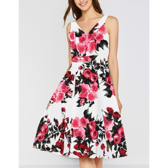 Liza Luxe Modcloth Garden Party Dress Sleeveless Fit Flare V Neck Women’s Sz M - Picture 11 of 11